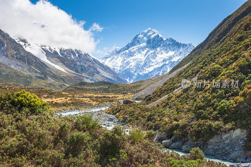 新西兰风景优美的库克山在夏季以新西兰南岛的自然景观为背景