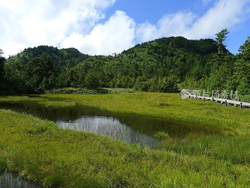 志贺高地(日本志贺越国立公园志贺山)