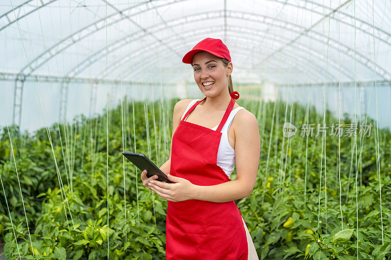 这个年轻的女孩在一个蔬菜温室工作，照顾植物的质量和条件