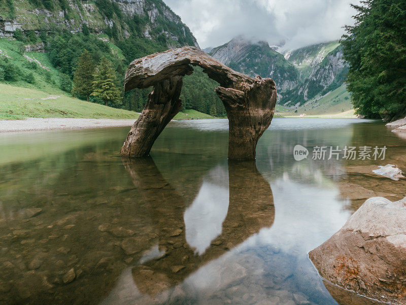 长期暴露在阿彭策尔高山湖泊