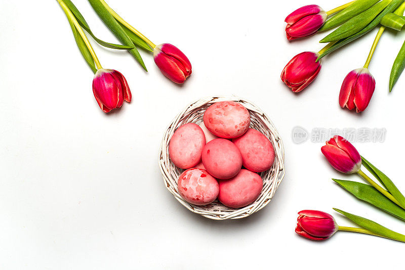 复活节彩蛋与红色郁金香花排列平躺在白色的背景孤立