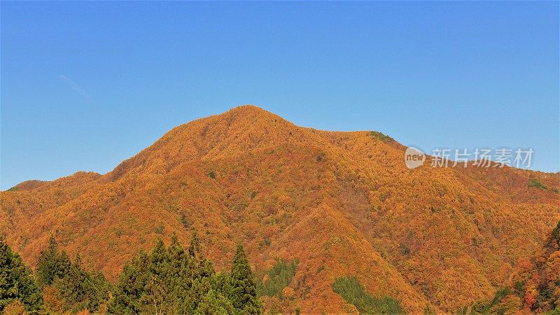 秋天的一座日本山