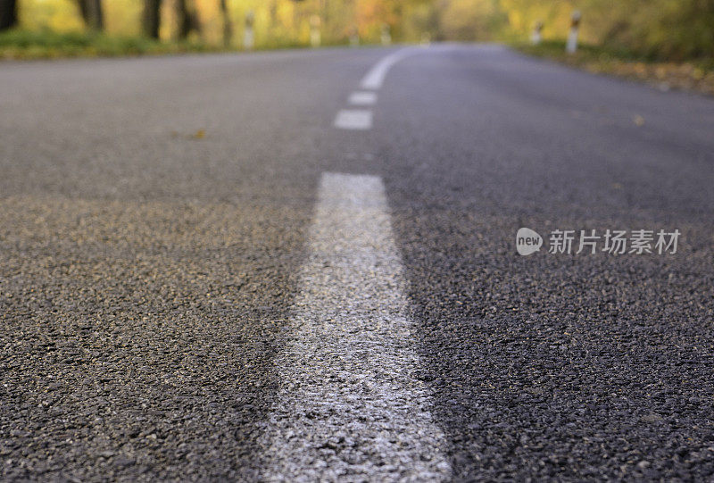 穿越秋林的道路