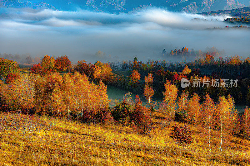 欧洲斯洛维尼亚的Primorska高原上的秋天