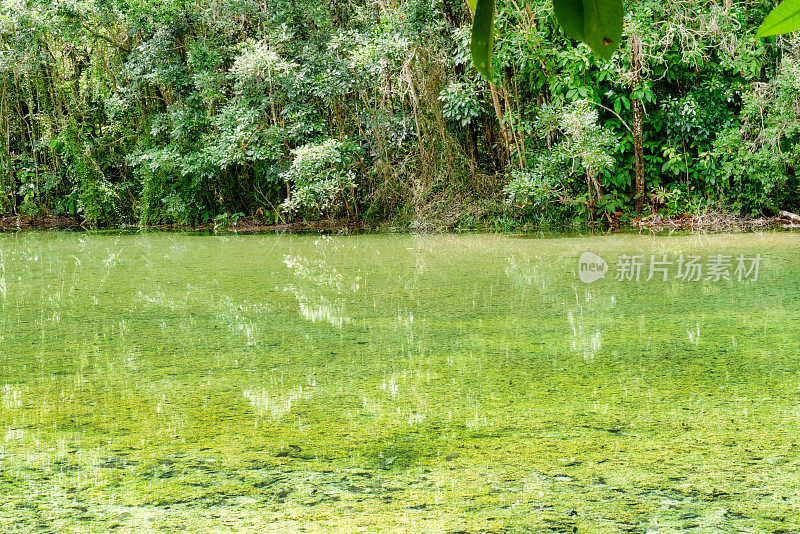 泰国甲米天然温泉
