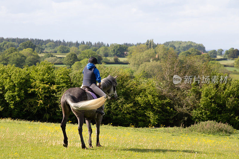 一个年轻的女人和她的斑点灰色的马望向远方的美丽的英国乡村，同时在一个夏天的一天外出骑马。
