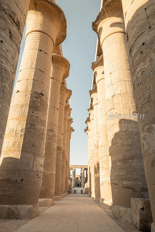 埃及卢克索的卢克索神庙内部