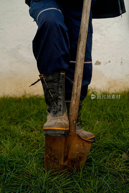 一个成熟的男人在后院种了一棵树