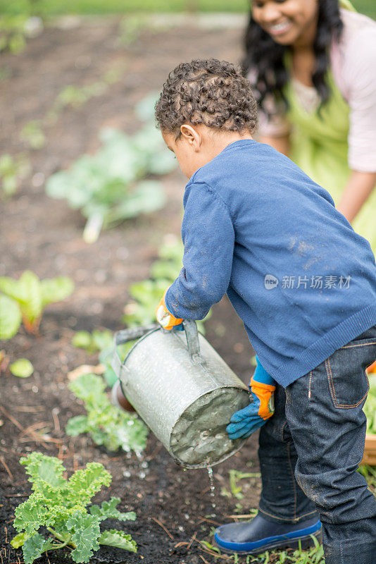 可爱的男孩正在给花园浇水