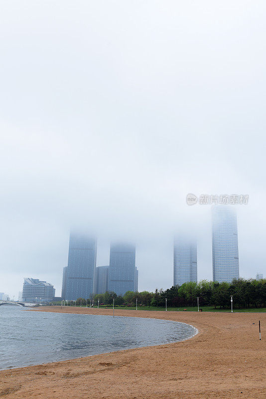 中国山东省日照市，花儿在春雨中绽放