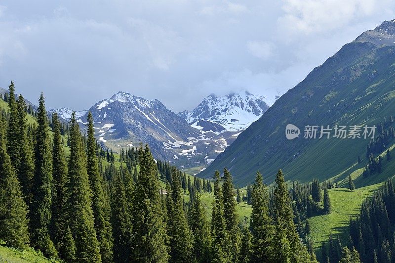 那拉提草原-新疆维吾尔自治区雪山和牧场