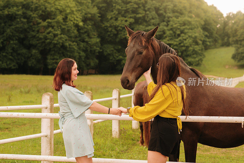 两个年轻女子手牵着手，抚摸着一匹马