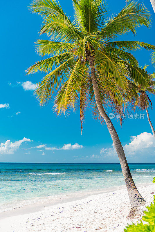 美丽的索那岛-多米尼加共和国