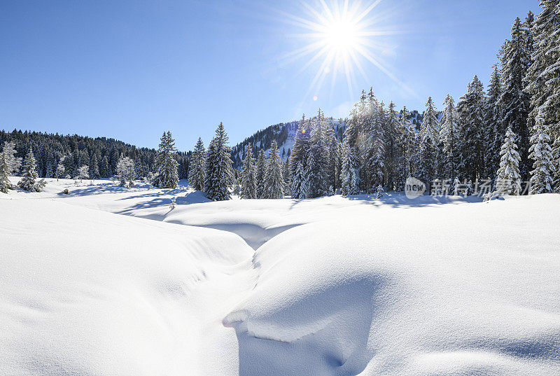 冰雪覆盖森林的冬季景观