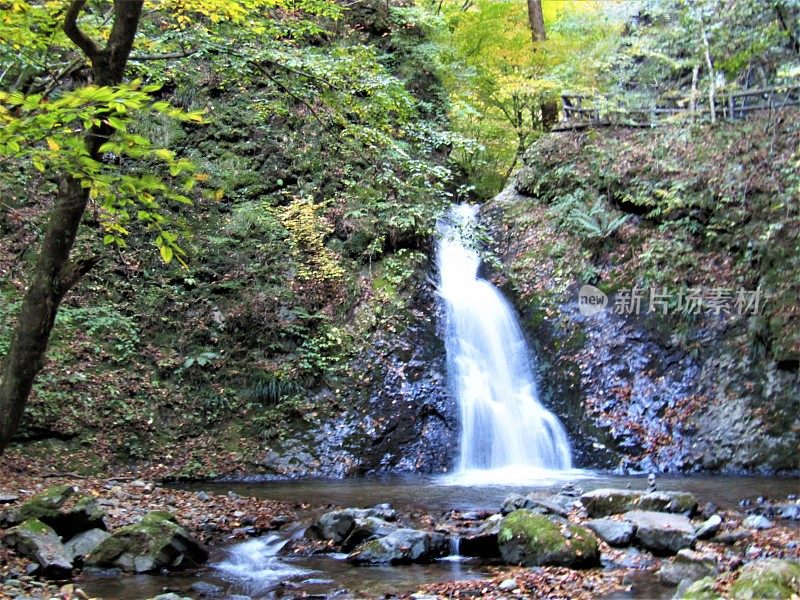 日本。11月的晴朗天气。时间正好在日落之前。日本山区的瀑布。