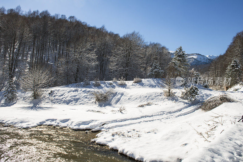 冬天，树上结着霜和雪