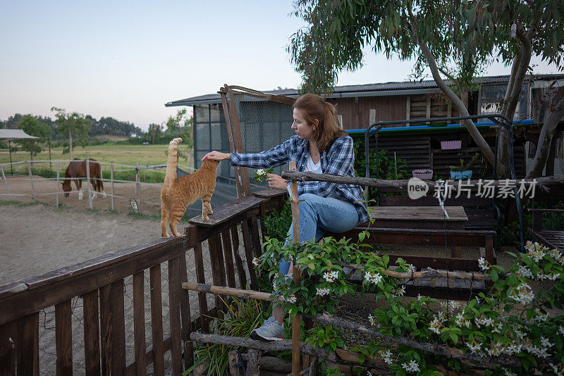 一个女人在农场花园里抚摸她的猫