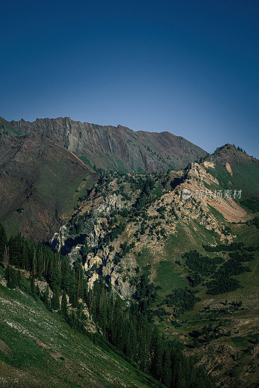 犹他州山，康尼菲尔。