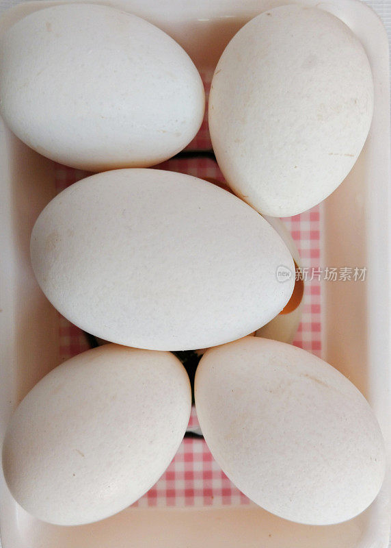 鸡蛋或家禽蛋或鸡蛋在托盘