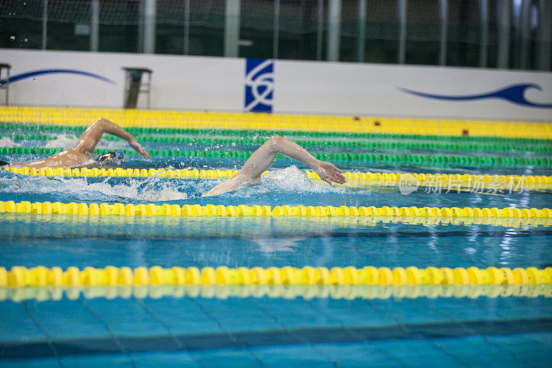 女子蝶泳比赛