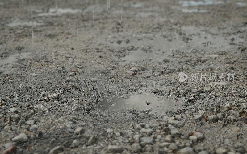 雨水坑