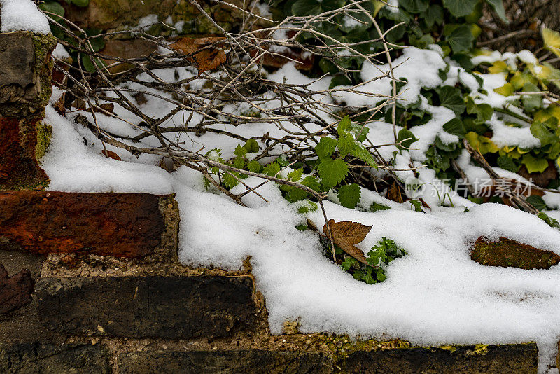 雪地中的公共公园，前景是一堵破损的砖墙