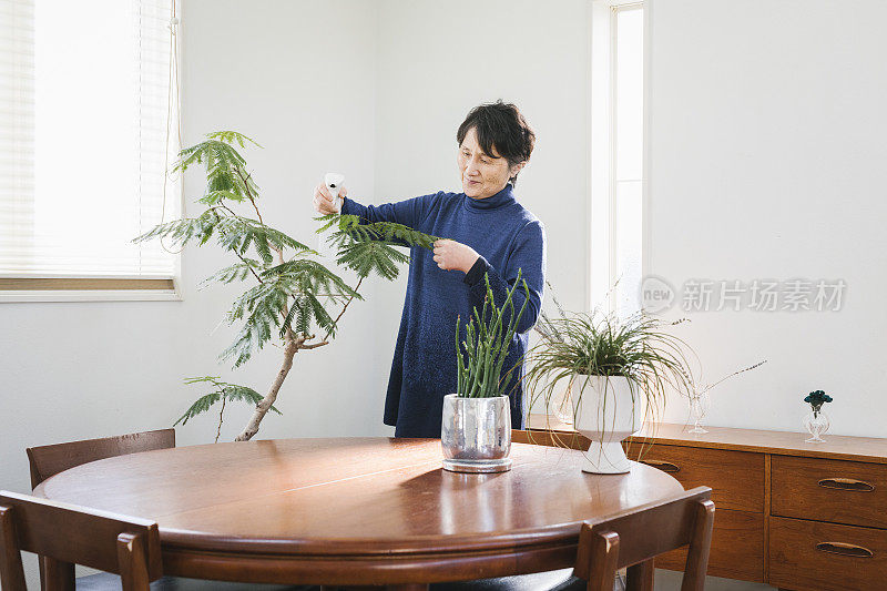 亚洲老年妇女在客厅里种花