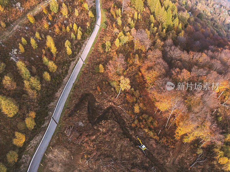 无人机鸟瞰图:彩色混合秋天森林空中背景