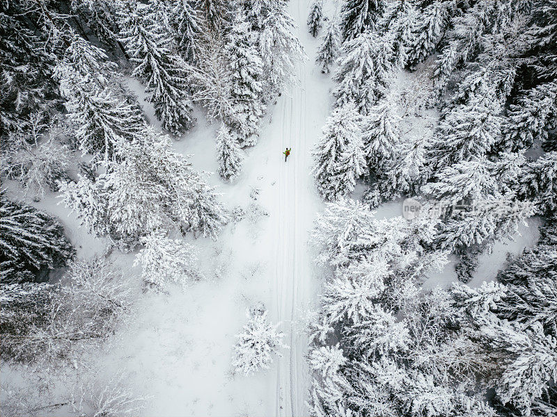 去雪地里的斯堪的纳维亚森林远足