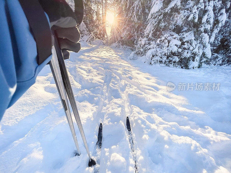 POV，越野滑雪者放松，享受阳光覆盖的雪林