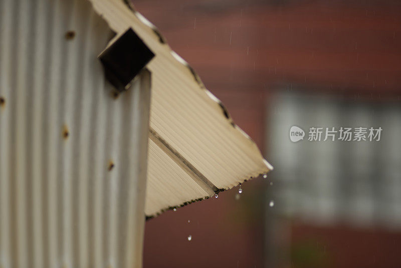 雨