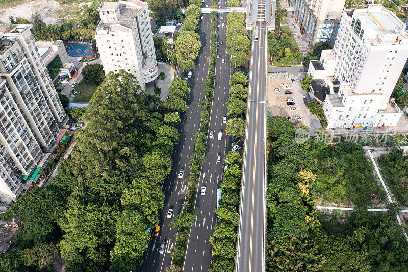 绿色城市路