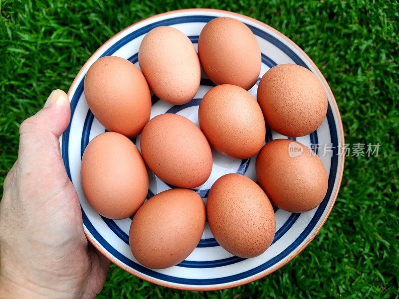 盘子里的棕色鸡蛋——绿色背景。