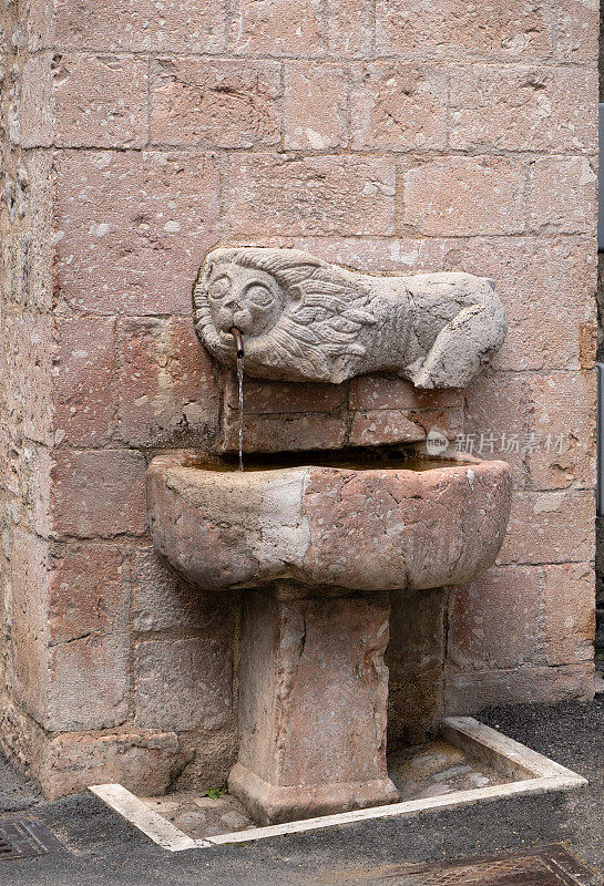 狮子浮雕喷泉在Spoletina门，莱昂内萨拉齐奥意大利