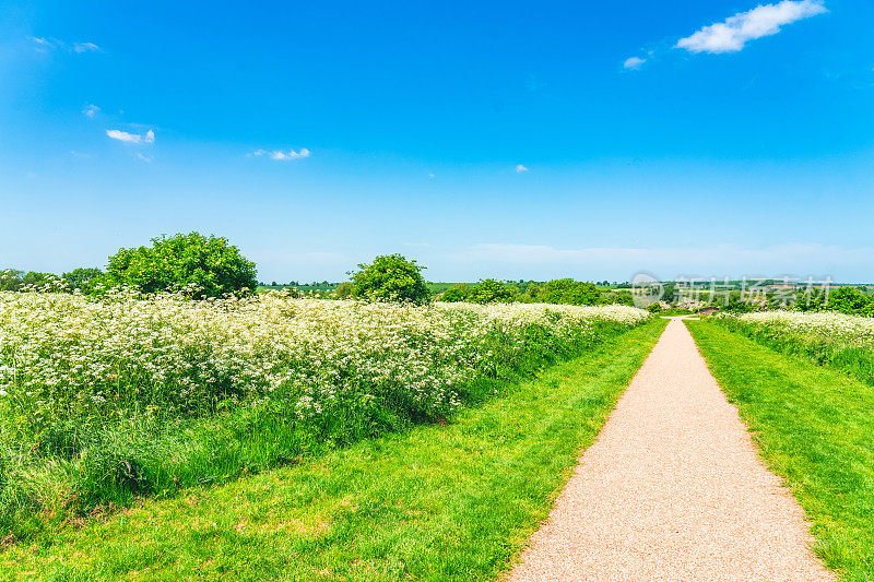 乡村景观与蜿蜒的农场道路穿过田野