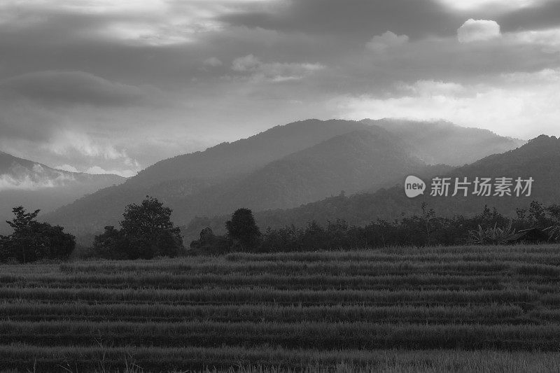 日落或日出的柔和光线突出了山峰，并产生了戏剧性的阴影