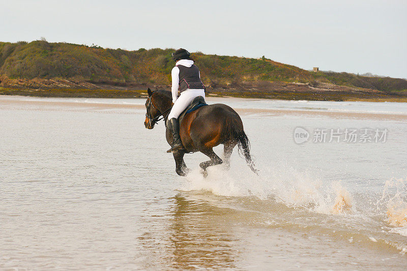 秋天的一天，在英国威尔士的海滩上，一名年轻女子骑着她的小马驹离开了镜头，当她们沿着水边比赛时，溅起了很多水花。