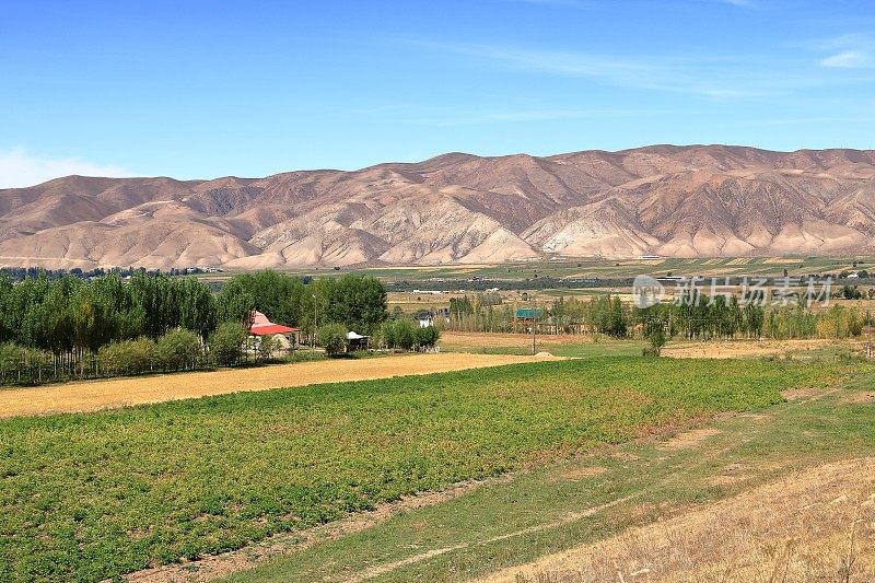 中亚吉尔吉斯斯坦崇克敏国家公园的乡村景观