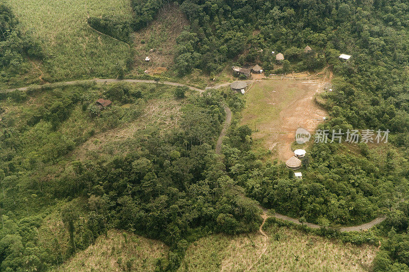 厄瓜多尔低水平的森林砍伐