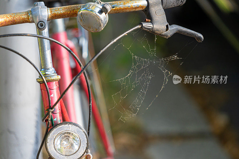 旧自行车的特写，锈迹斑斑，布满蜘蛛网