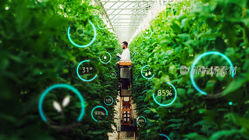 男性生物工程师在现代垂直农场中检测作物生长。人类在技术先进的温室中种植有机食品或植物。VFX信息图表编辑显示统计数据，数据。