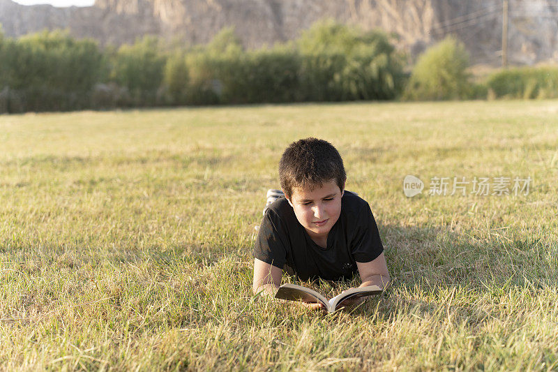 男孩在大自然中读书。