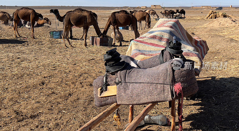 IMG_5046骆驼和马鞍，⁨Et-Taous⁩，⁨摩洛哥