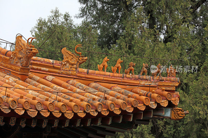 黄色琉璃瓦屋顶，地坛公园，北京，中国