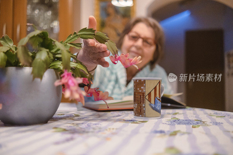 照顾好室内植物