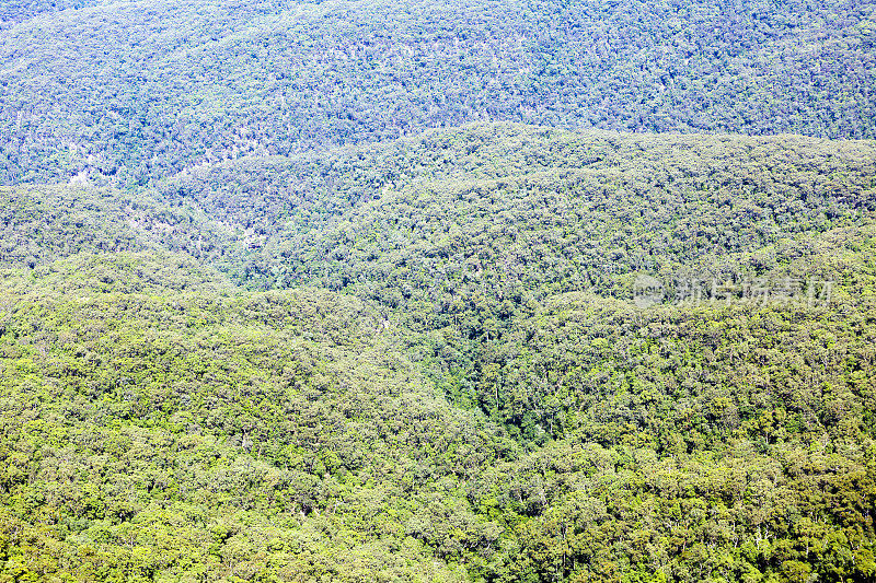 蓝山澳洲丛林，自然背景与复制空间