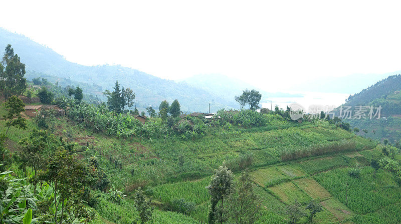 卢旺达:该国北部的风景