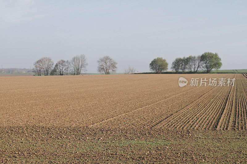 比利时瓦隆尼亚的农田