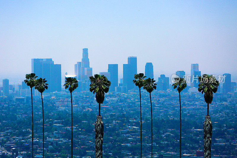 洛杉矶天际线棕榈树