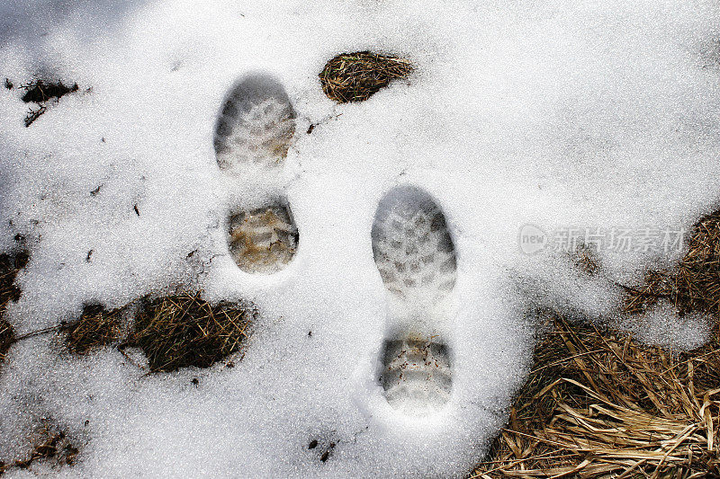 最后的雪